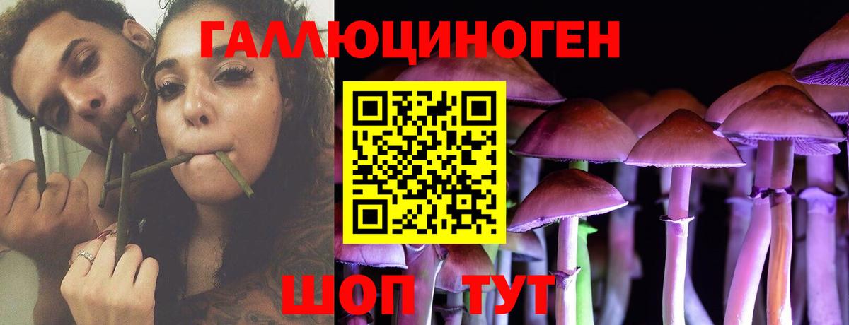 Богородицк  Галлюциногенные грибы мухоморы  Галлюциногенные грибы мухоморы  Вход с VPN 